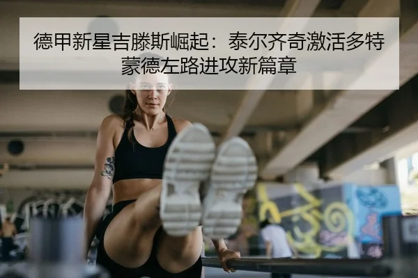 de-jia-xin-xing-ji-teng-si-jue-qi-tai-er-qi-qi-ji-huo-duo-te-meng-de-zuo-lu-jin-gong-xin-pian-zhang-2-644.jpg